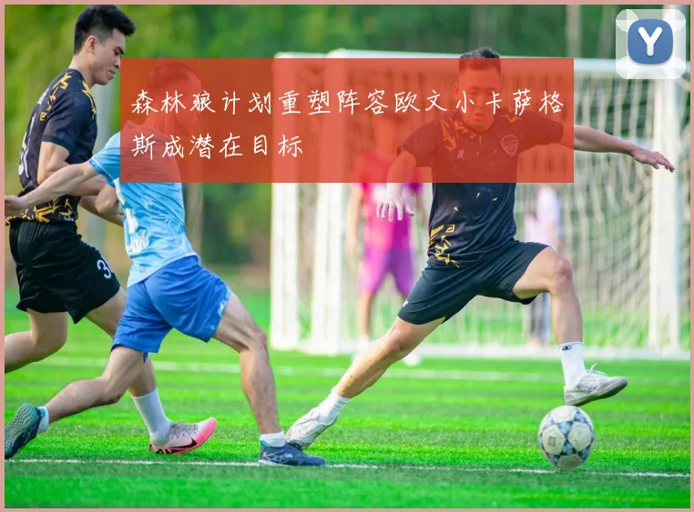 森林狼计划重塑阵容欧文小卡萨格斯成潜在目标